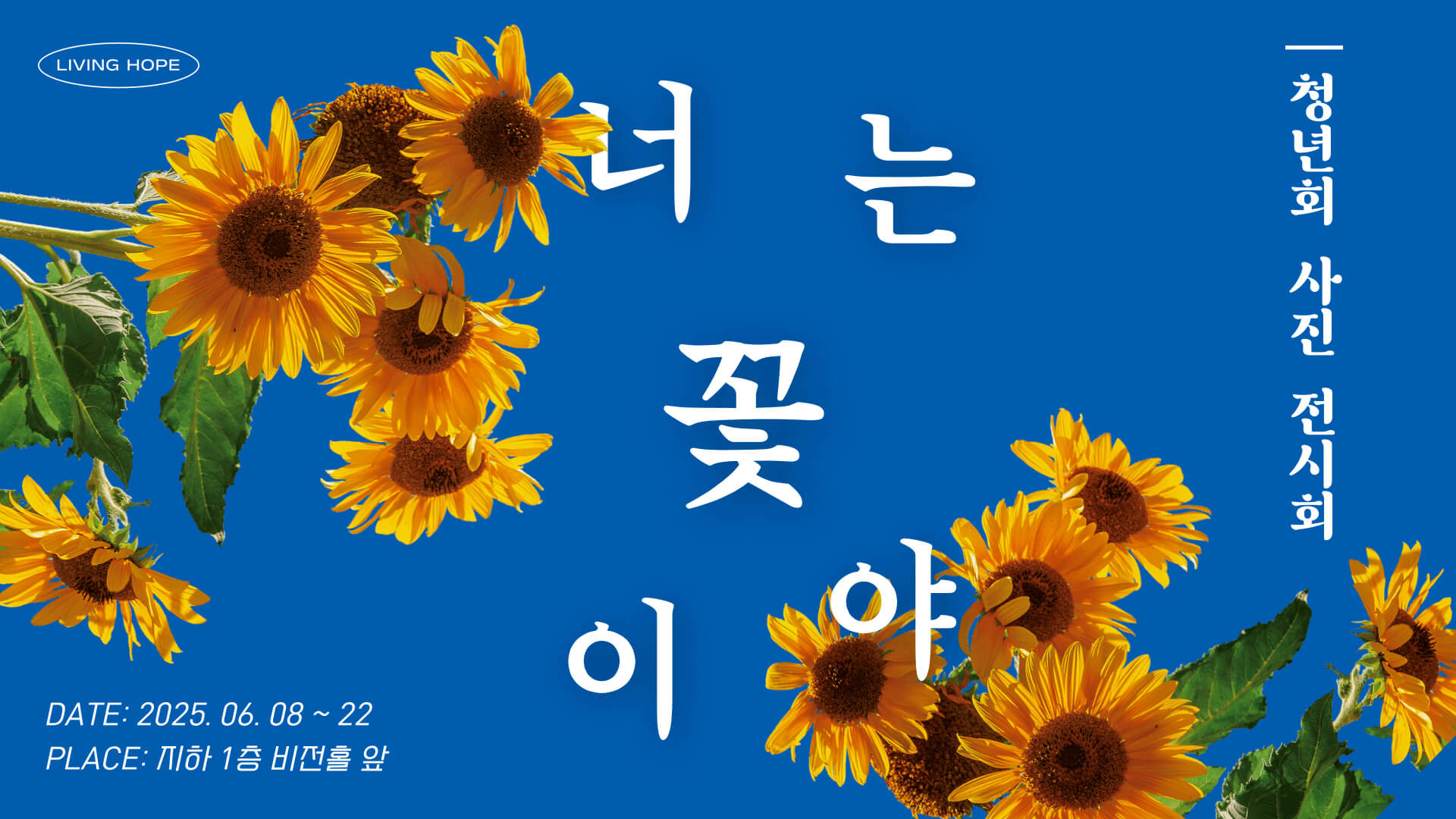“너는 꽃이야” 청년회 사진전